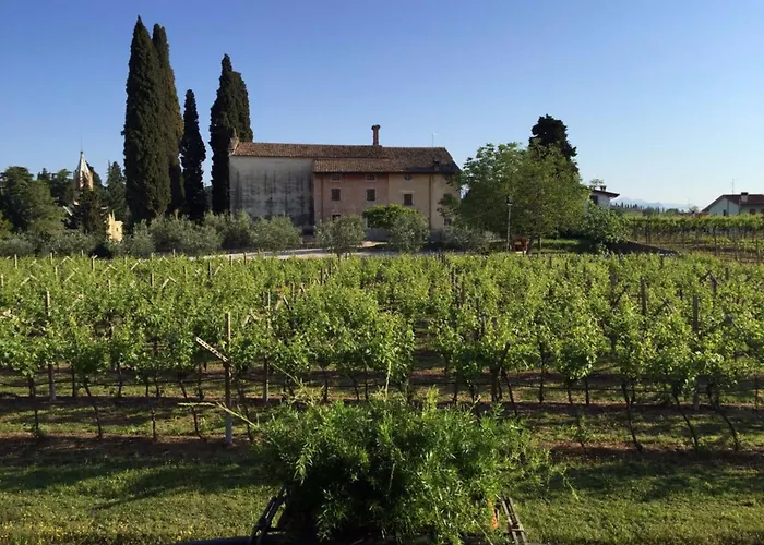 Parco Termale Di Villa Dei CedriSpa Hotel